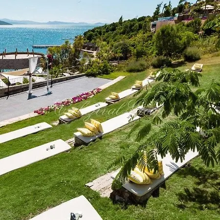 Hotel Люкс На Берегу Моря